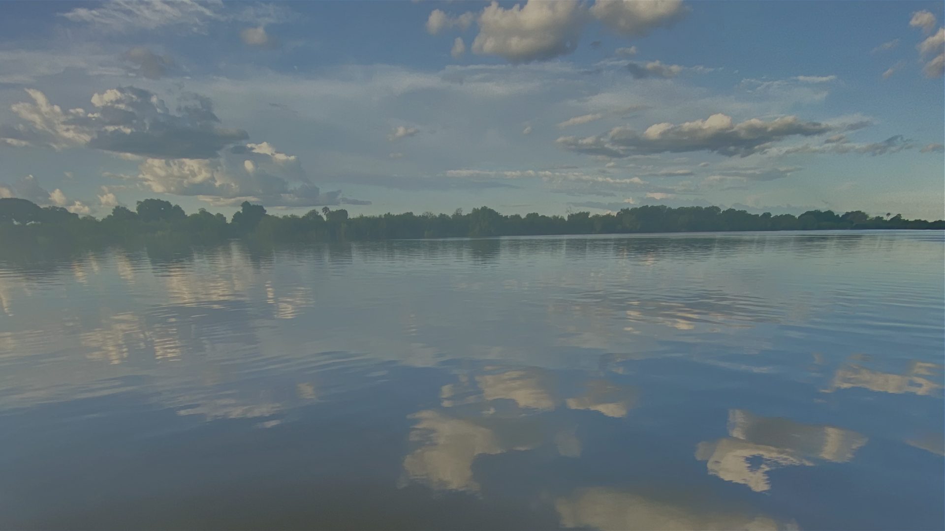 A still lake mirrors scattered clouds and a line of trees along the far shore.