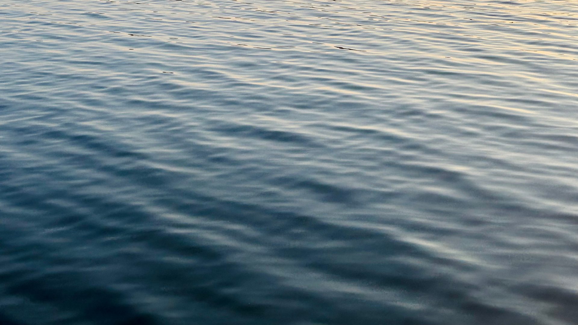 Rippled water catches the light in bands of blue and pale gold.