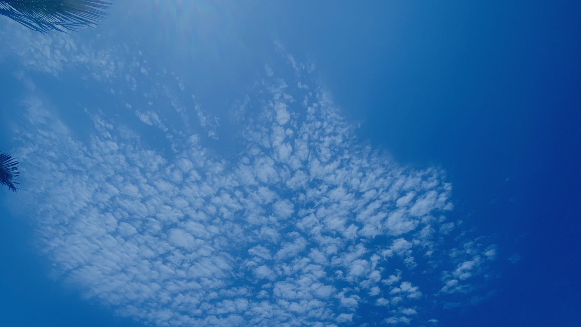 Wisps of white cloud spread thin across a bright blue sky.