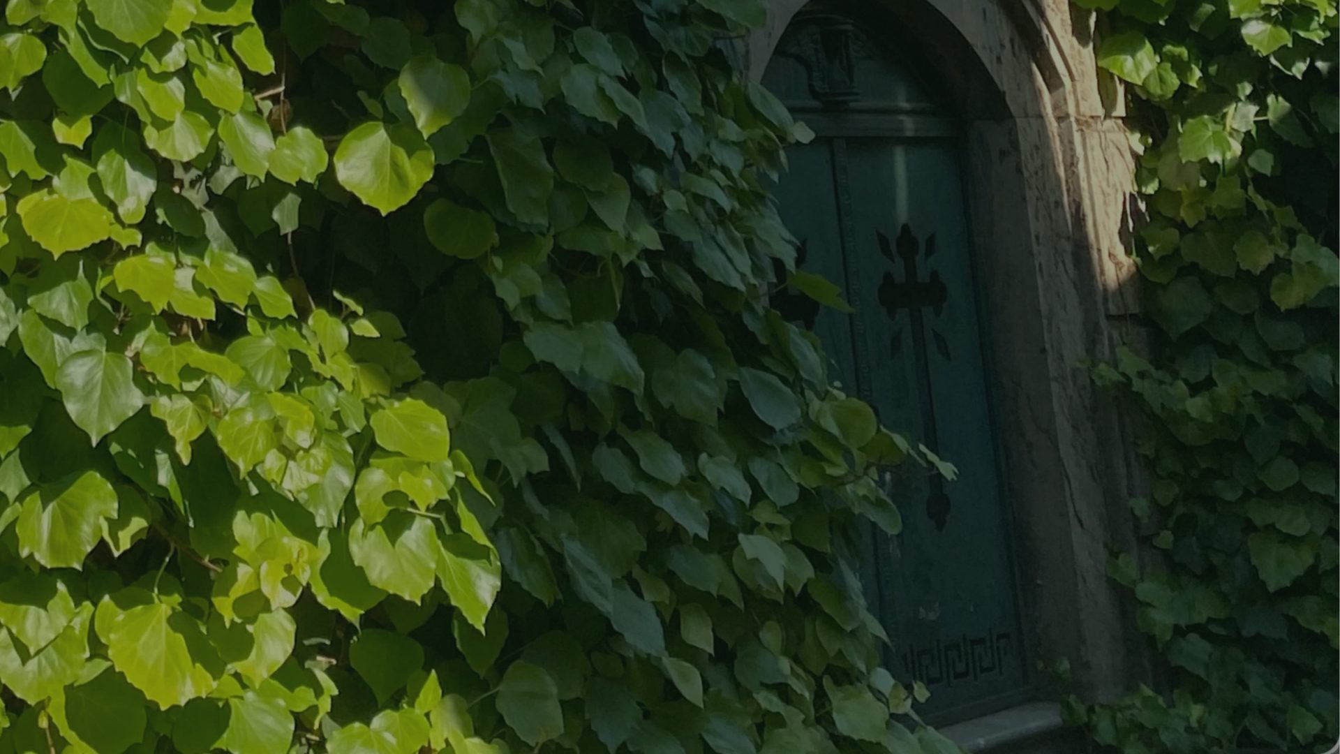 A weathered door is set into stone, framed by climbing ivy.