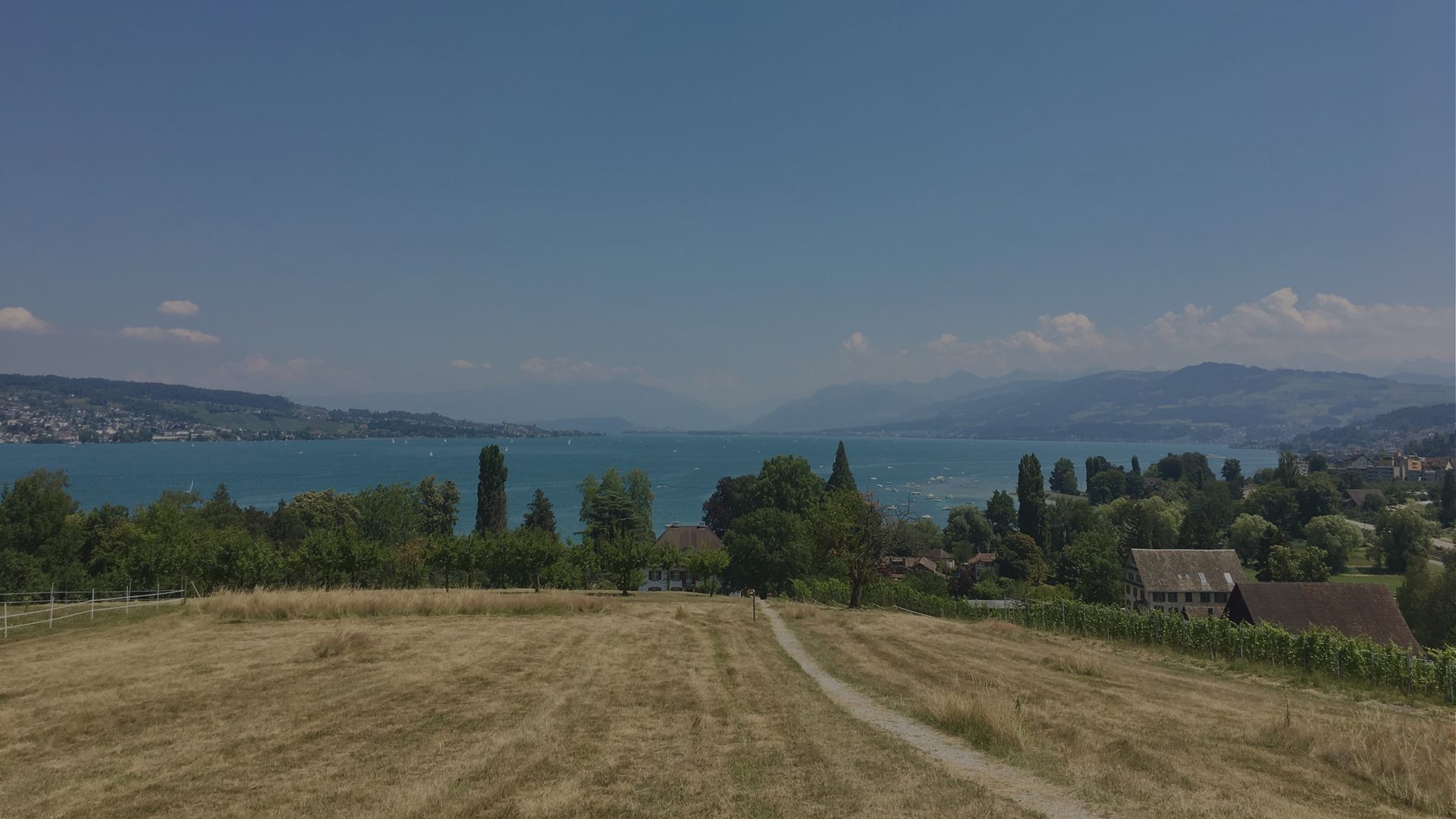 A field of dry golden grass slopes down toward a lake framed by distant hills.
