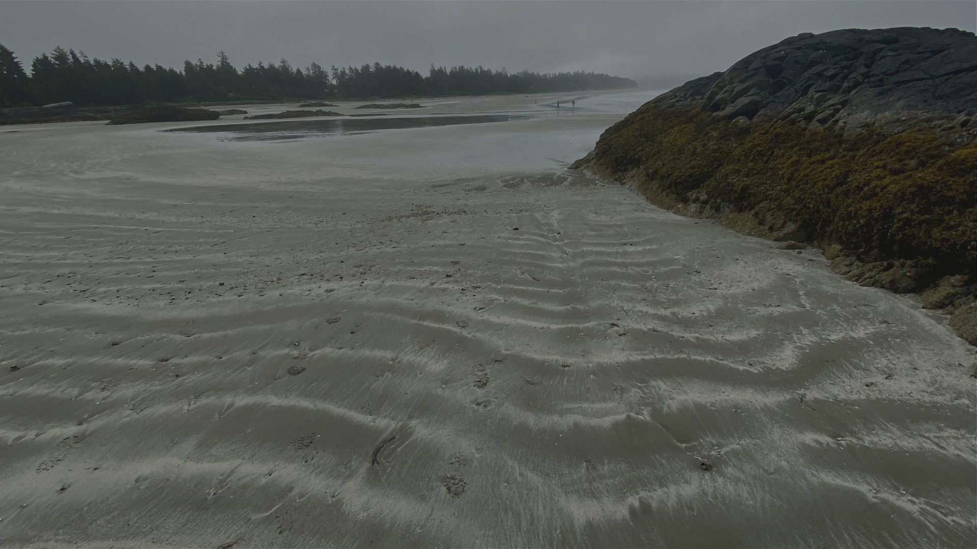 Wind-rippled wet sand stretches toward a misty shoreline, with a seaweed-covered rock outcrop to one side.