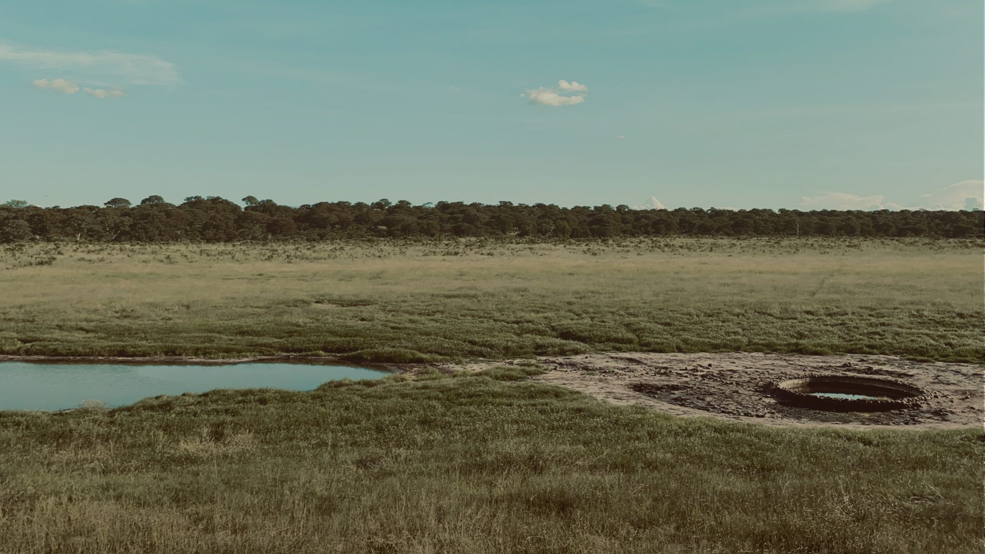 A grassy plain under a pale blue sky, with a shallow pond on the left and a ring of old tyres holding a small pool of water on the right.